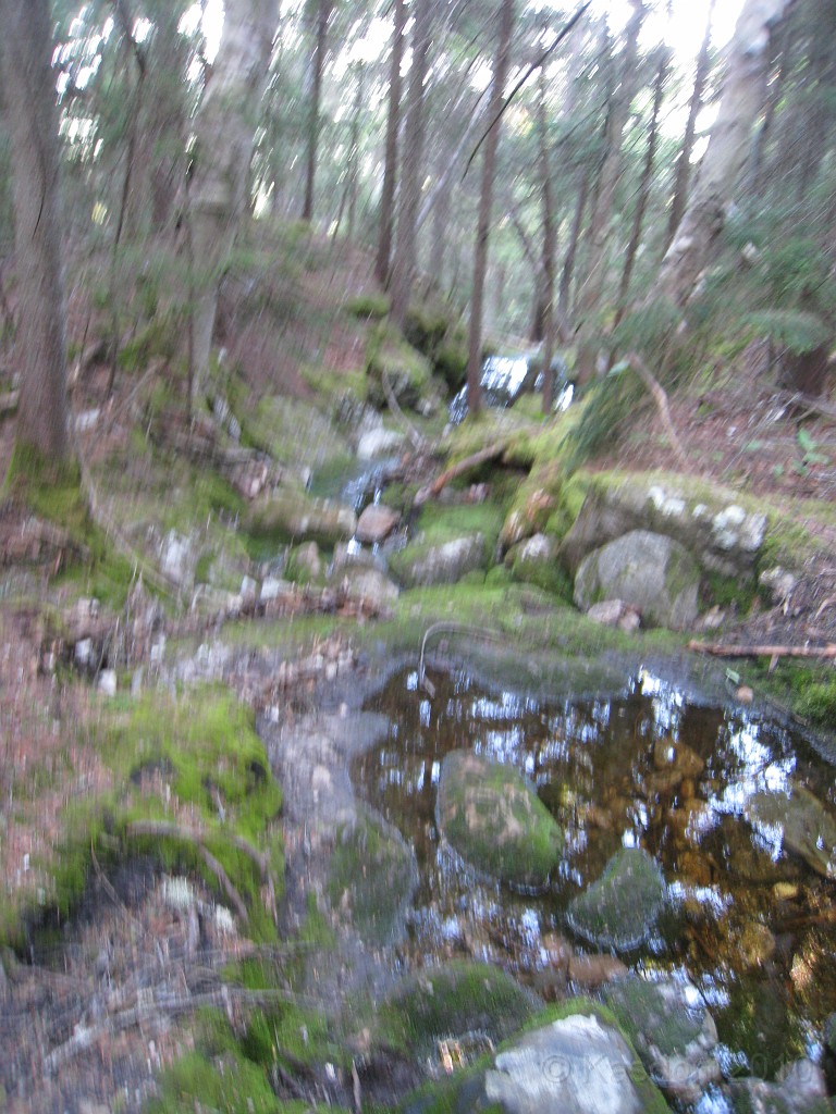 Mt Cardigan NH 2010 0325.jpg - Mt. Cardigan in New Hampshire. Summited on May 25, 2010. There are numerous trails to the peak... I had to pick the extremely difficult one. The views were worth it.